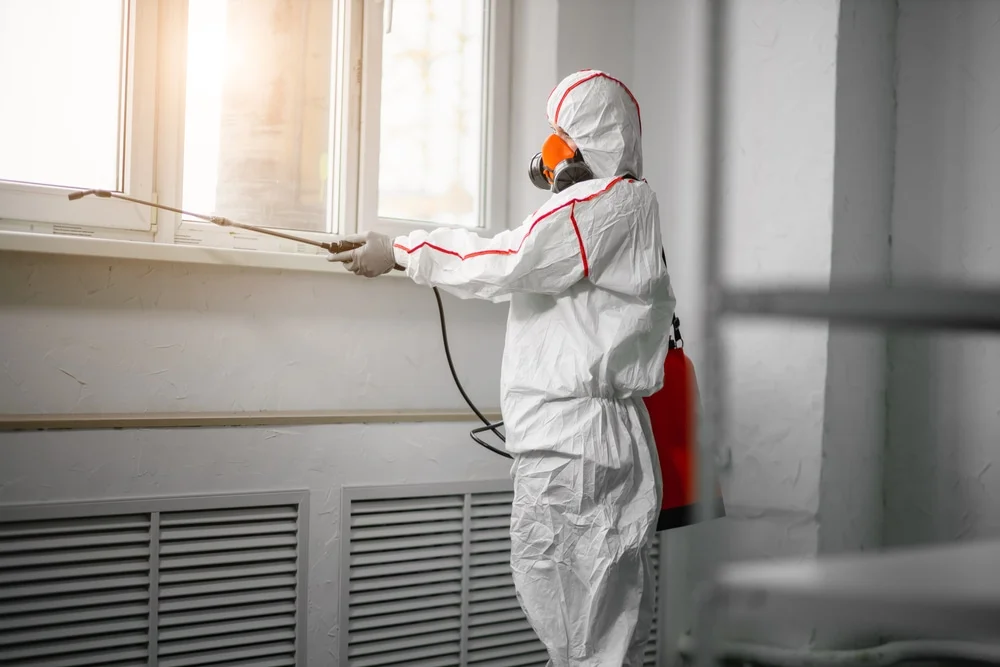 Professional mold remediation services in Irvington, AL